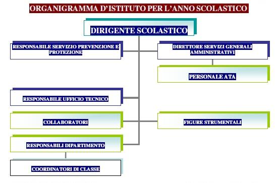 Organigramma